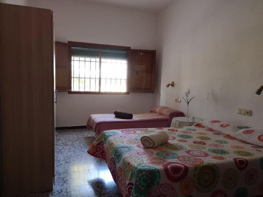 Casa Rural La Colina 卡拉斯帕拉 外观 照片